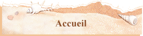 Accueil